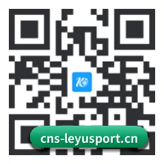 iPhone 专版 二维码